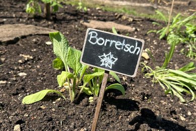 Naschgarten Landwirtschaftliche Schule Hohenheim