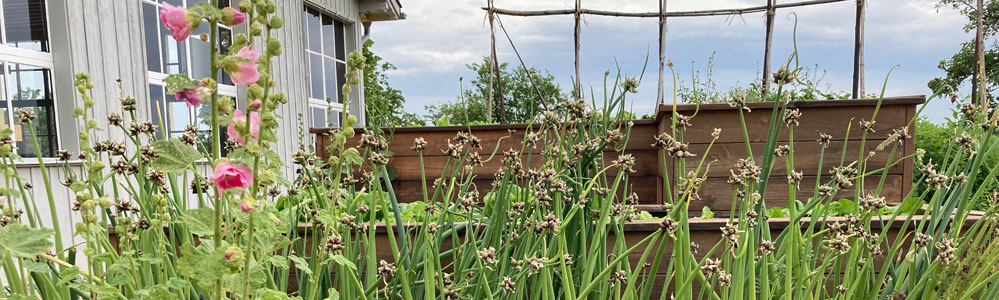 Garten EGZ 999x300