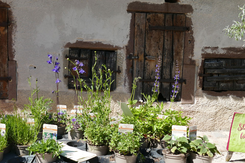 gartengenussmarkt_2026_web_999x666