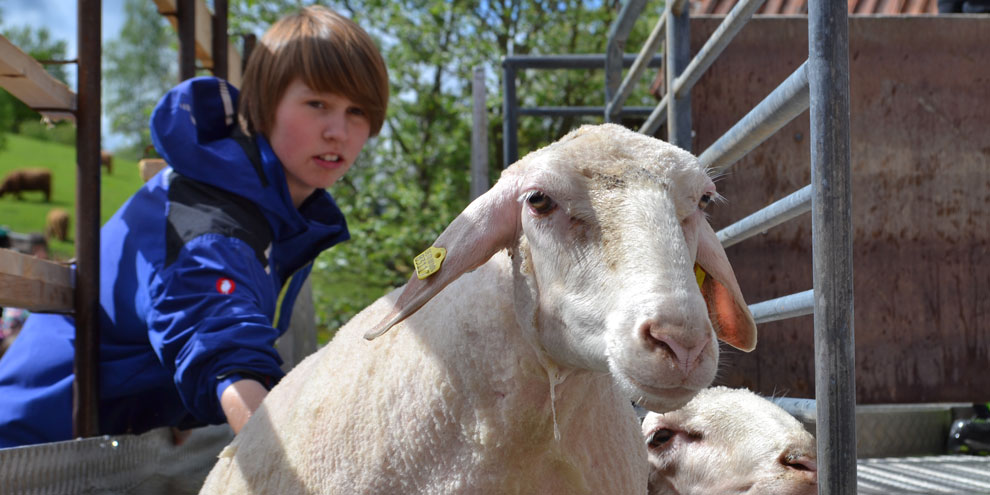  Freilichtmuseum Beuren 